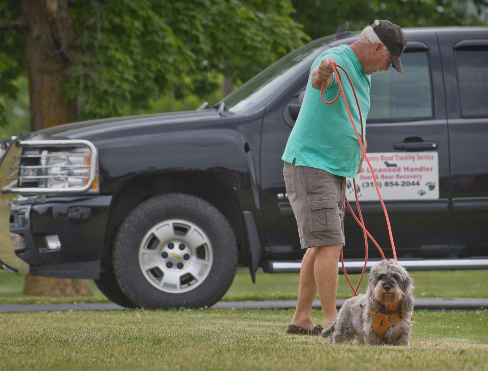 Specially trained pets able to locate game